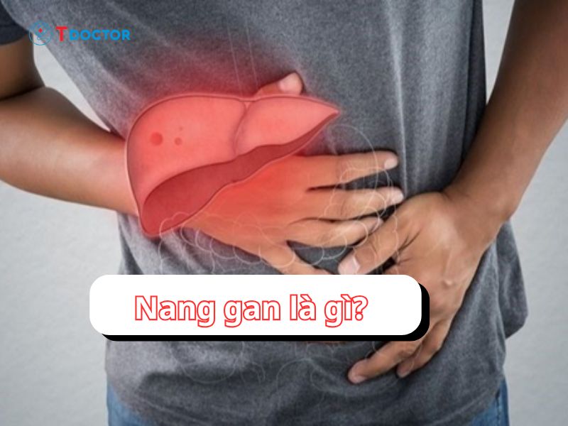  Nang gan là gì? Những điều nhất định bạn cần biết