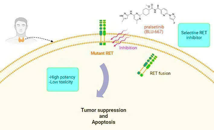 Giải pháp mới điều trị ung thư phổi có đột biến RET