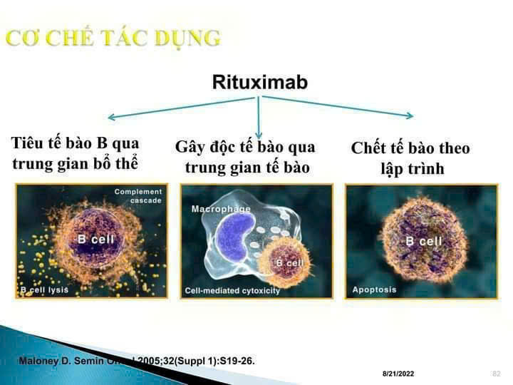 Giải pháp điều trị hiệu quả cho các bệnh ung thư và rối loạn miễn dịch