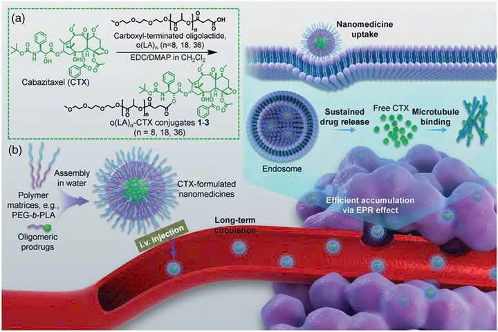 Lựa chọn điều trị ung thư tuyến tiền liệt di căn kháng thiến sau Docetaxel
