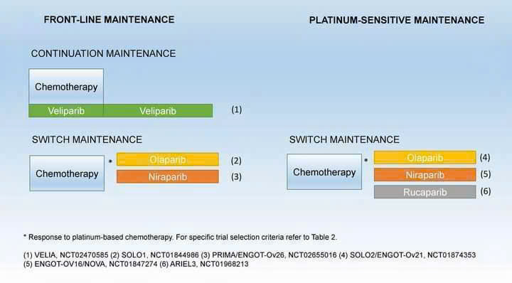 PARP Inhibitor là gì? Vì sao Niraparib trở thành lựa chọn ưu tiên trong điều trị ung thư buồng trứng?
