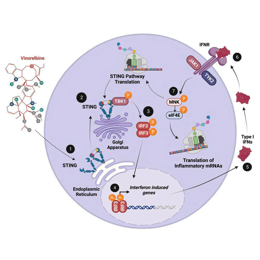 Giải Pháp “Hóa Chất Khô” Cho Bệnh Nhân Ung Thư Phổi