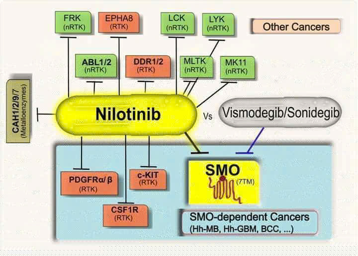 Hiệu quả lâm sàng nổi bật của Nilotinib qua các thử nghiệm ENEST