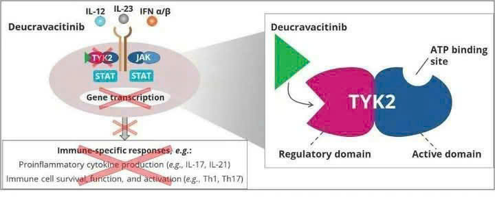 Deucravacitinib – thuốc uống mới điều trị vẩy nến mảng bám từ trung bình đến nặng
