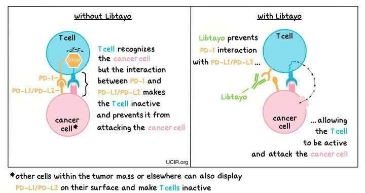 Hy vọng mới cho bệnh nhân ung thư phổi tiến triển không đột biến gen