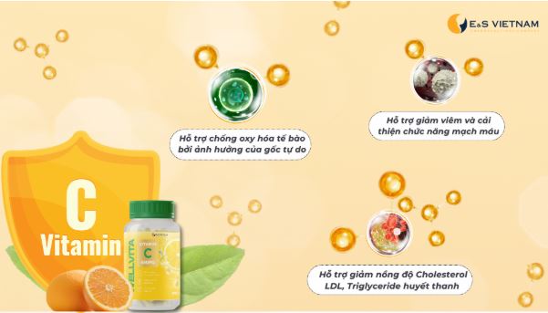 Wellvita Vitamin C bật mí khả năng hỗ trợ kiểm soát Triglyceride và LDL