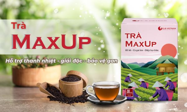Trà MaxUp - phương pháp hỗ trợ thanh lọc cơ thể từ thảo dược