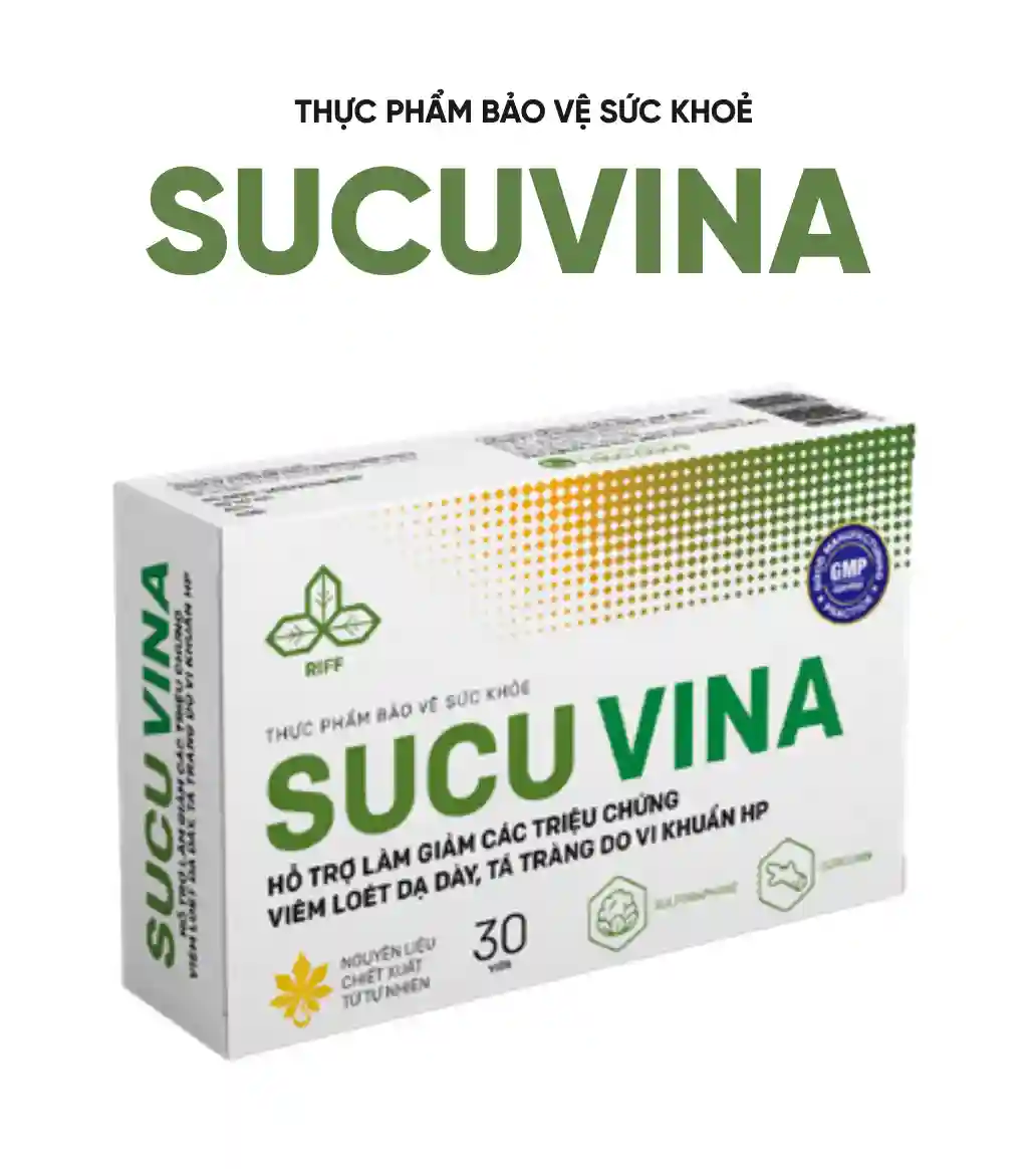 Sucuvina, hỗ trợ giảm làm giảm các triệu chứng viêm loét dạ dày, tá tràng