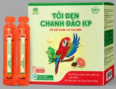 TỎI ĐEN CHANH ĐÀO KP