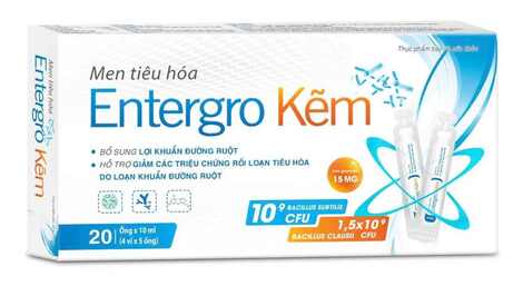 Men tiêu hóa Entergro Kẽm Beatexpharm (H/20o/10ml)