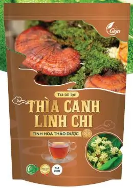 Trà túi lọc Thìa Canh Linh Chi