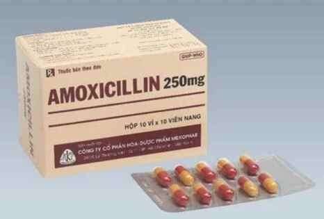 Amoxicillin 250Mg Mekophar (H/100V)