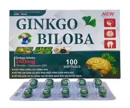 Thực phẩm bảo vệ sức khỏe GINKO BILOBA 240