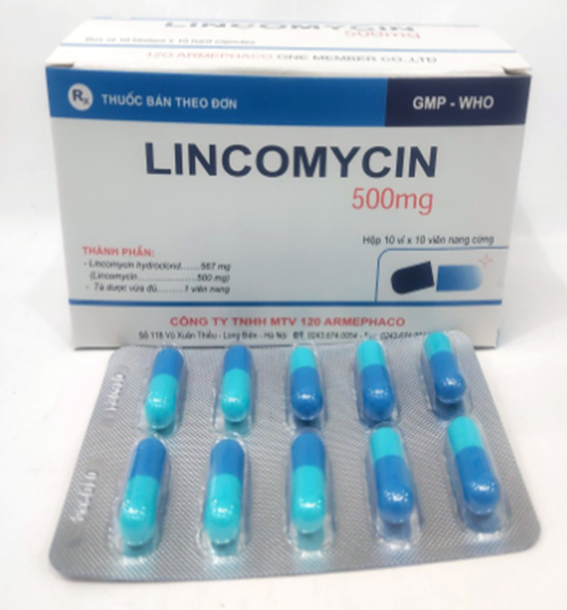 Thuốc Lincomycin 500mg điều trị nhiễm khuẩn tai mũi họng, phế quản, phổi (10 vỉ x 10 viên