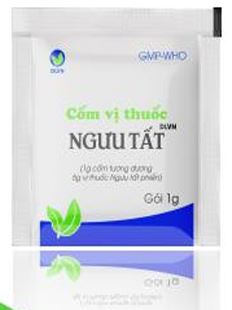 CỐM VỊ THUỐC NGƯU TẤT - DLVN