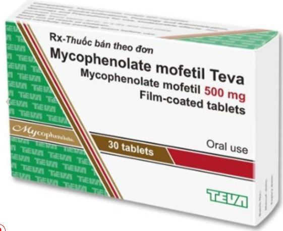 Thuốc Mycophenolate mofetil Teva 500mg ngăn ngừa sự thải ghép cấp ở đối tượng bệnh nhân đang cần ghép thận, tim hay gan dị thân