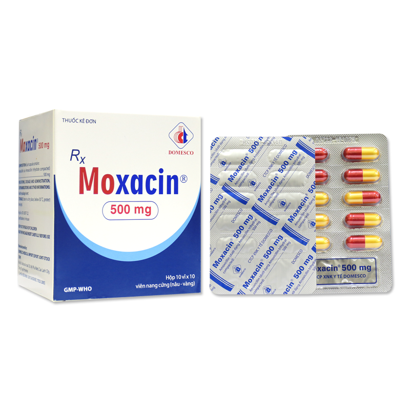 Viên nang Moxacin 500mg điều trị nhiễm khuẩn (10 vỉ x 10 viên)