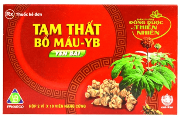 Tam thất bổ máu - YB