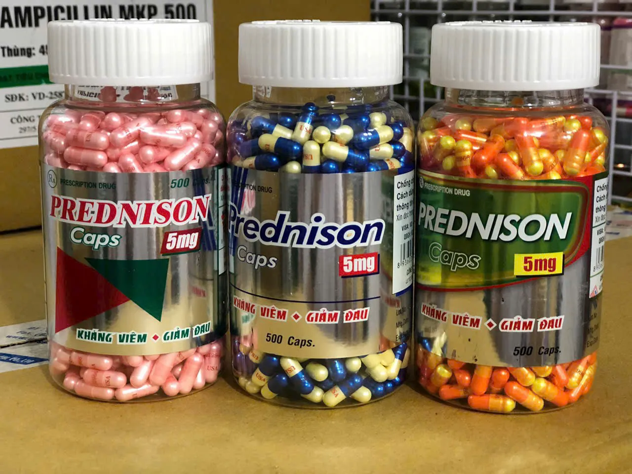 Prednison nhộng – Kháng viêm, chống dị ứng, hỗ trợ điều trị nhiều bệnh lý