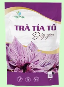 Trà Tía Tô Dây Gắm