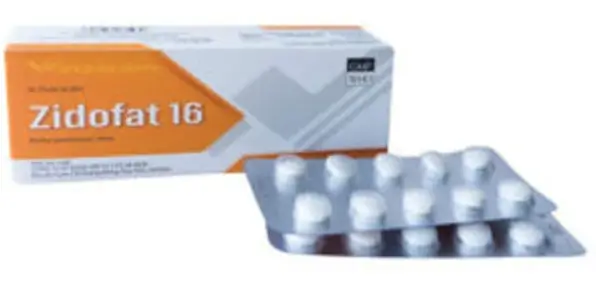 Zidofat 16 - Thuốc chống viêm của Hamedi