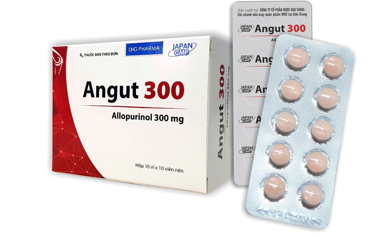 Angut 300mg DHG (H/100v) – Thuốc giảm sự hình thành acid uric, điều trị sỏi thận (10 vỉ x 10 viên)