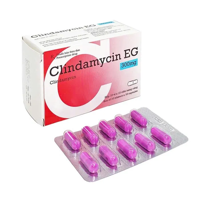 Clindamycin 300mg EG Pyme (H/100v)  –  Thuốc kháng sinh trị nhiễm khuẩn hiệu quả