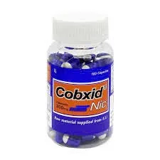 Coxcid 200mg Nic (C/100v/nang) – Hỗ trợ giảm đau viêm khớp hiệu quả, an toàn