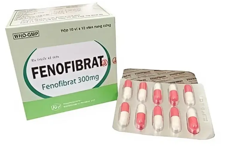 Fenofibrat 300mg Khapharco Điều trị tăng cholesterol máu nguyên phát hoặc rối loạn lipid máu hỗn hợp, tăng triglyceride máu kết hợp với chế độ ăn