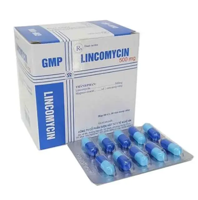 Lincomycin 500mg Nghệ An điều trị các loại nhiễm khuẩn