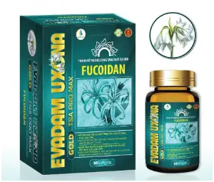 EVADAM UXONA GOLD TSA PRO MAX