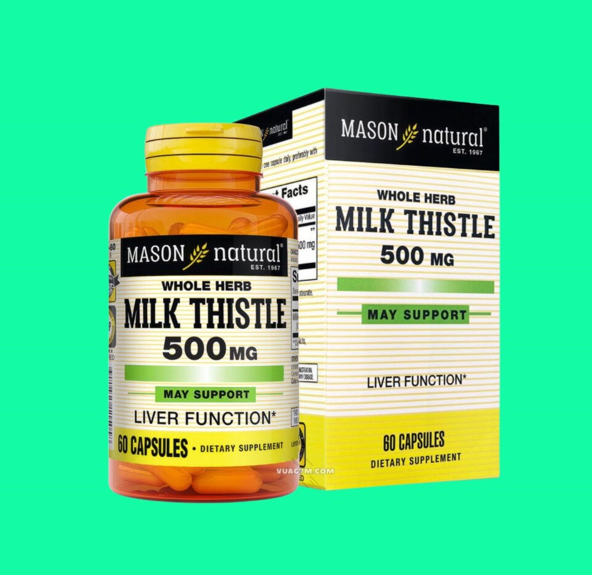 Mason Natural Milk Thistle 500mg giúp hỗ trợ giải độc gan