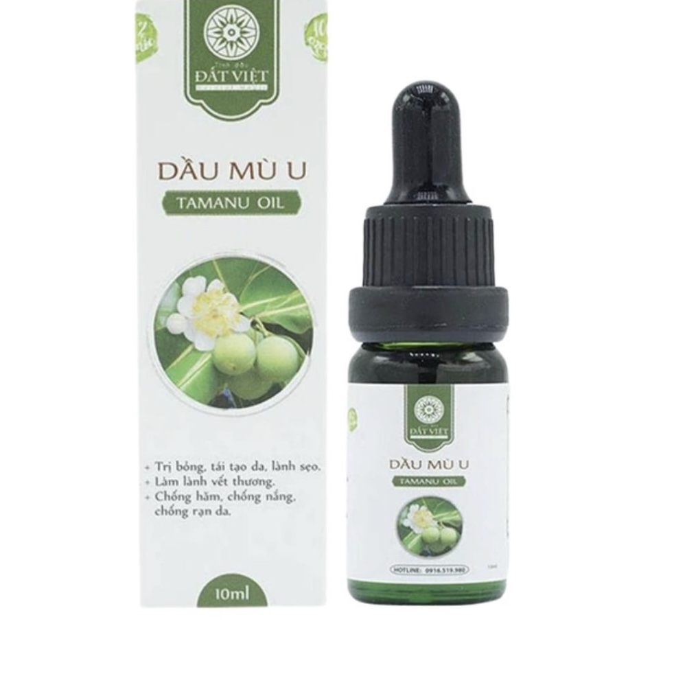 Dầu Mù U Đất Việt điều trị viêm da