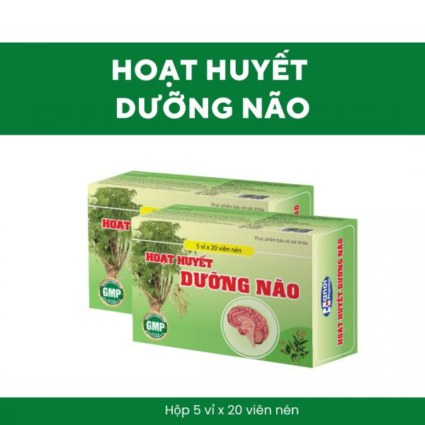Hoạt Huyết Dưỡng Não tăng cường tuần hoàn não