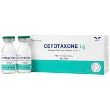 Cefotaxone bột tiêm Bidi (H/10lọ/1g)  – Kháng sinh Cephalosporin thế hệ 3 trị nhiễm khuẩn nặng hiệu quả