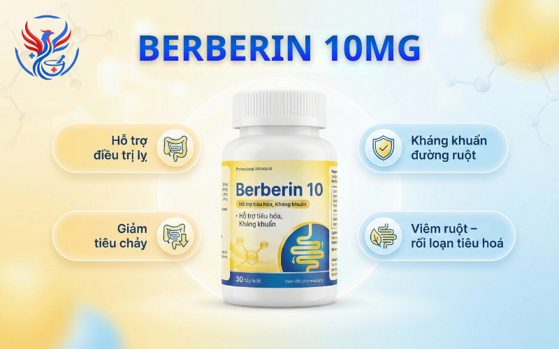 Thuốc Berberin 10mg điều trị lỵ, viêm ruột, tiêu chảy