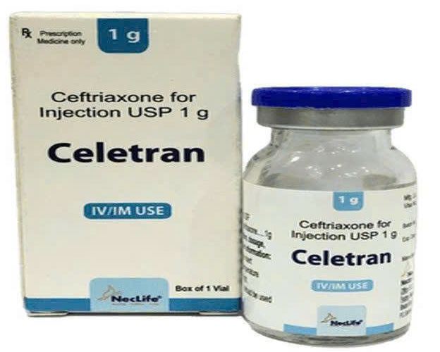 Celetran 1g điều trị nhiễm khuẩn nặng