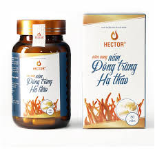 Viên nang đông trùng hạ thảo Hector tăng sức đề kháng