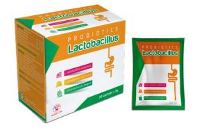Lactobacillus – tái lập cân bằng hệ vi sinh đường ruột