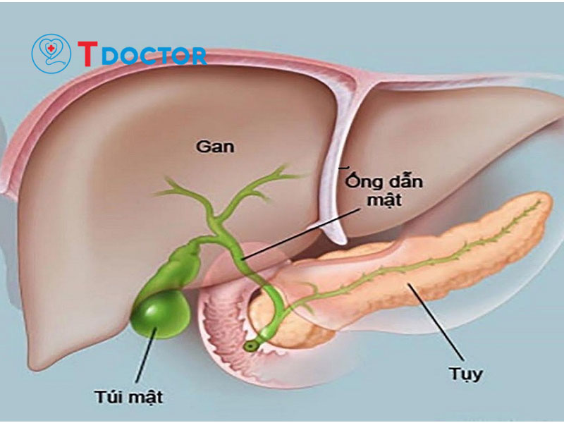 ung-thu-gan-giai-doan-cuoi2