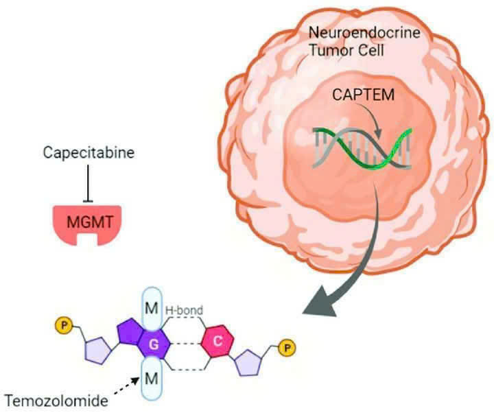 Capecitabine phối hợp hóa trị điều trị ung thư dạ dày giai đoạn tiến xa