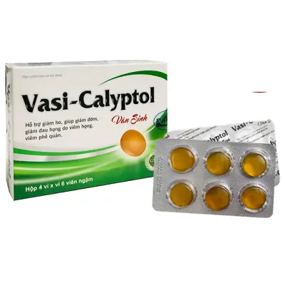VIÊN NGẬM VASI – CALYPTOL hỗ trợ giảm ho, giúp giảm đờm, giảm đau họng, khản tiếng do viêm họng, viêm phế quản (Hộp 4 vỉ x 6 viên)
