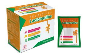 Lactobacillus - tái lập cân bằng hệ vi sinh đường ruột