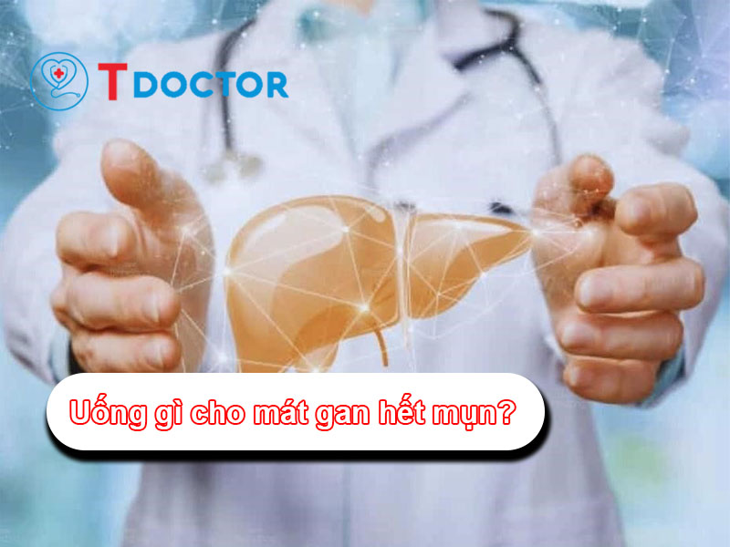 Uống gì cho mát gan hết mụn? Những điều bạn nên biết