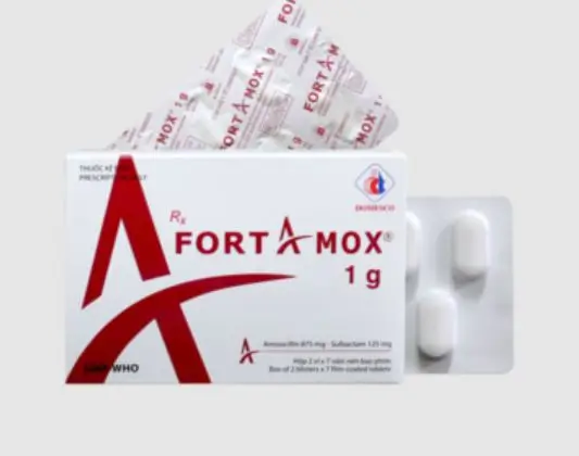 Thuốc FORTAMOX 1G kháng sinh điều trị bệnh nhiễm khuẩn